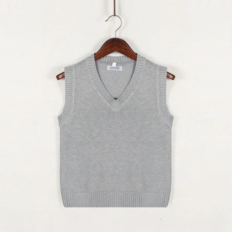 Albert | Men's V-Neck Sleeveless Sweater