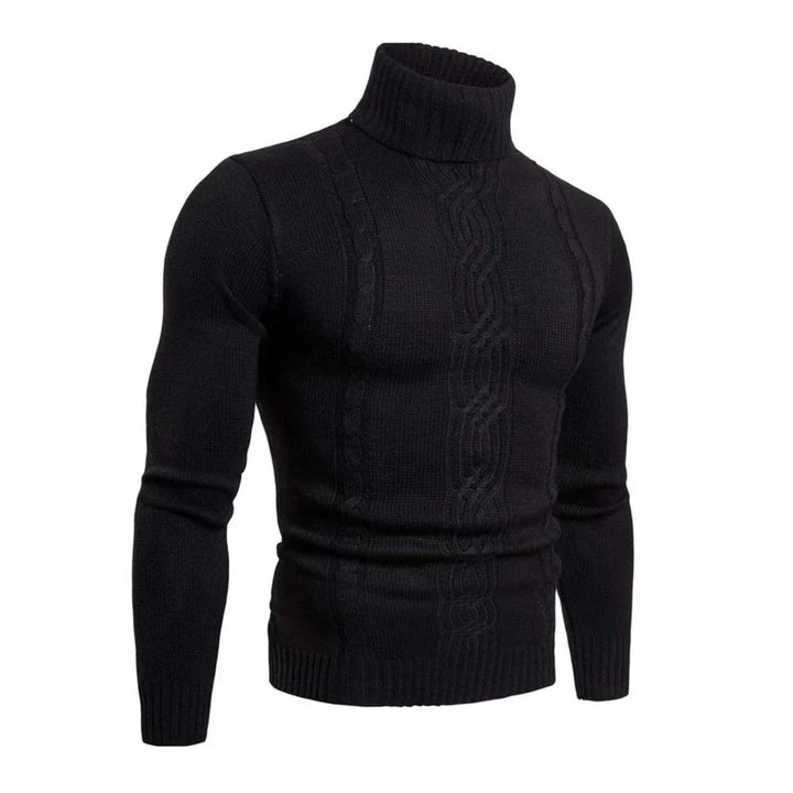 Alexander | Cotton turtleneck sweater for men