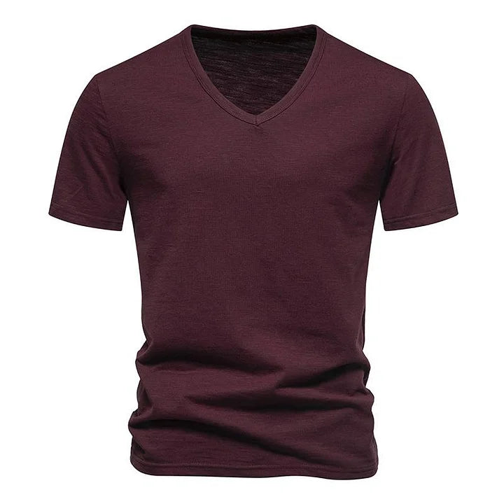 Men's Casual Bamboo V-Neck T-Shirt